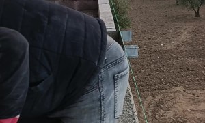 Cement Spreading Technique for Laying Bricks