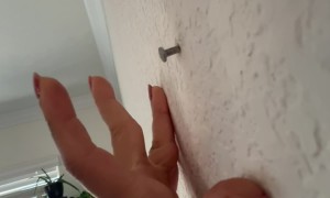 Nail Bouncing Out of Wall