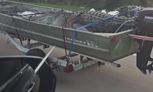 Just Another Day in Florida