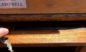 The Wind Phone in Joshua Tree, California