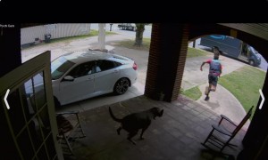 The Day We Got Banned From Amazon Deliveries