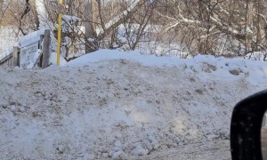 Loose Pony Messes With Amish Buggy