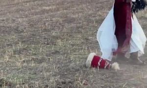 Horse Makes Girl Rethink Her Profession