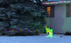 Simple but Effective