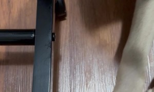 Building a Clothing Rack With Benimaru