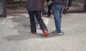 Customers Carry Deer Back Outside