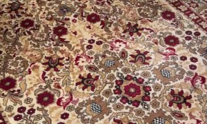 Pair of Pugs Join Me on the Treadmill