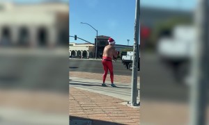 Holiday Fails and Fun