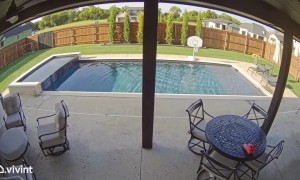 Doge Forgot We Had a Pool