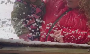 Granddaughter Is Not a Fan of Snow