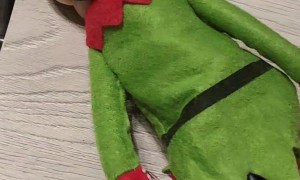 Elves Up to No Good With Mini Vacuum