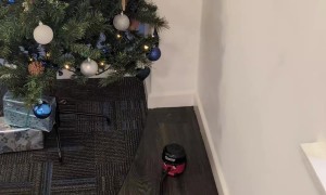 Mini Desk Vacuum Under the Office Christmas Tree