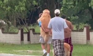 After a Grueling Battle With Laziness, Laziness Wins the Day