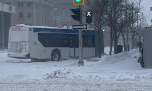 Where's the Rest of the Bus?