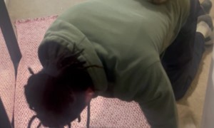 Cat Riding Up Stairs on Owner’s Back