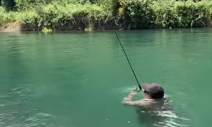 To Catch a Fish You Need to Think Like a Fish