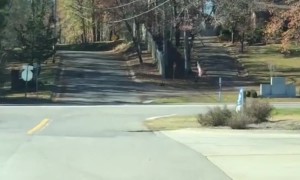 Car Hauling Huge Christmas Tree