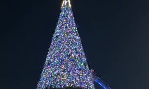 Christmas Tree Lighting Ceremony Fail