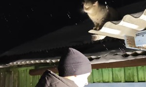 Man Gives His Cat a Shoulder Ride