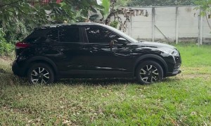Fiery-Billed Aracari Visits Car in Costa Rica
