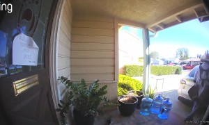 Kids Hand Scares Mailman