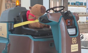 Stuffed Capybara With A Backpack Drives Cleaning Cart
