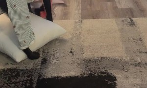 Dog Opens Christmas Present