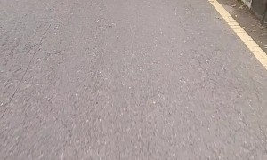 Giant Fish Strapped To Motorbike Seat