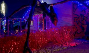 Stranger Things Christmas Light Display