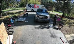 Love Story Between My Dog and the FedEx Man