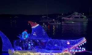 Shark Week: Holiday Edition