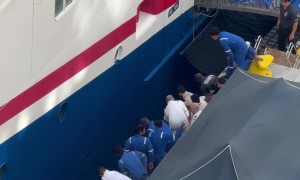 Mother Jumps Overboard Cruise Ship To Save Child