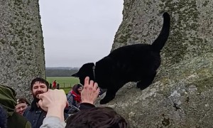 Bastet the Egyptian Cat God Visited Stonehenge at the Winter Solstice 2025