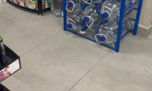 Cat With Oxxo’s Uniform