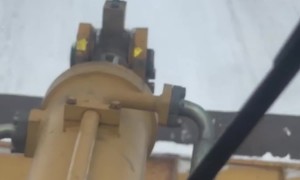 Fighting Cats Block Snow Removal Equipment