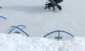 Trout Fishing in a Frozen Lake