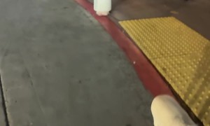 Man Has Major Crash Out at the Mall