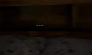 Sound Activated Lights on Bed Triggered by Fart