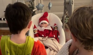 Lainey Turned Into an Elf