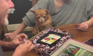 500 Piece Puzzle Individually Wrapped