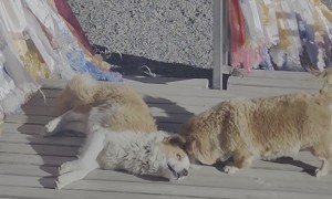 POV: Trying to Get Your Indoorsy Friend to Go for a Hike