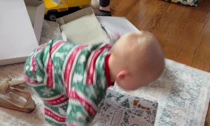 When You’re the First Baby and Grand Baby in the Family on Christmas