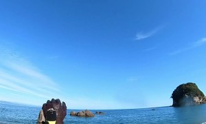 Octopus Stuck to Guy's Back