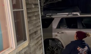 Grandma Knocking Snow Down or Snow Knocking Down Grandma