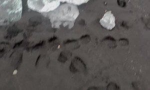 Iceland's Diamond Beach Has Black Sand And Beached Icebergs