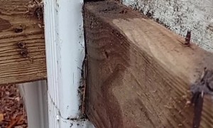 Ways Not to Build a Deck