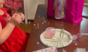 Magic Mixie Surprise