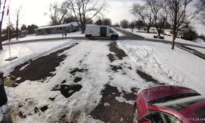 My Cat Keeps Trying to Leave With the Delivery Driver