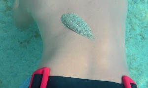 Free Diver Twerks to Remove a Flatfish Stuck to Him