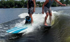 Professional Wake Surfer Pup